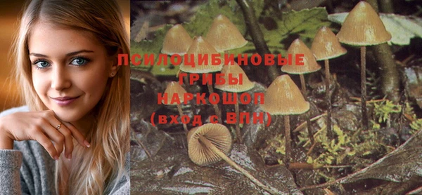 каннабис Богородицк