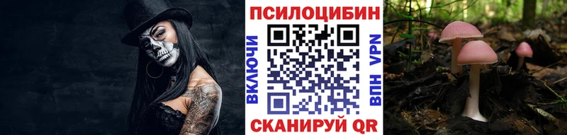 ОМГ ОМГ ONION  наркотики  Жердевка  Псилоцибиновые грибы ЛСД 